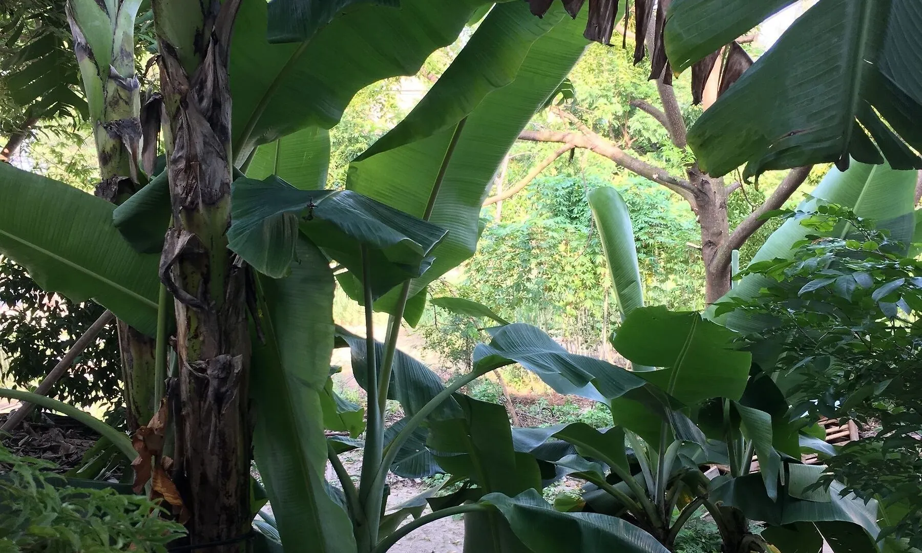 Hotel Fishing Village An Bang Homestay Hoi An